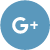 icon_G+ Google Plus icon